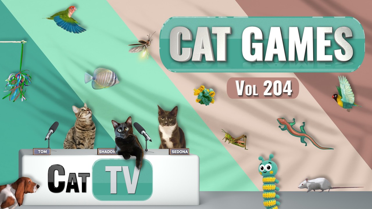 Игры с котами | Подборка лучших кошачьих телепередач, том 204 | 8 часов 🐝🐞🦋🦎🦜🐜🐭🧵