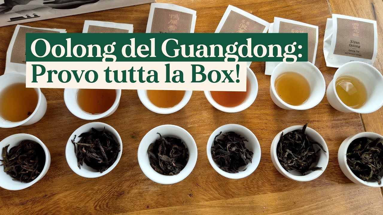 Provo con voi 6 Oolong cinesi in una box tutta da scoprire