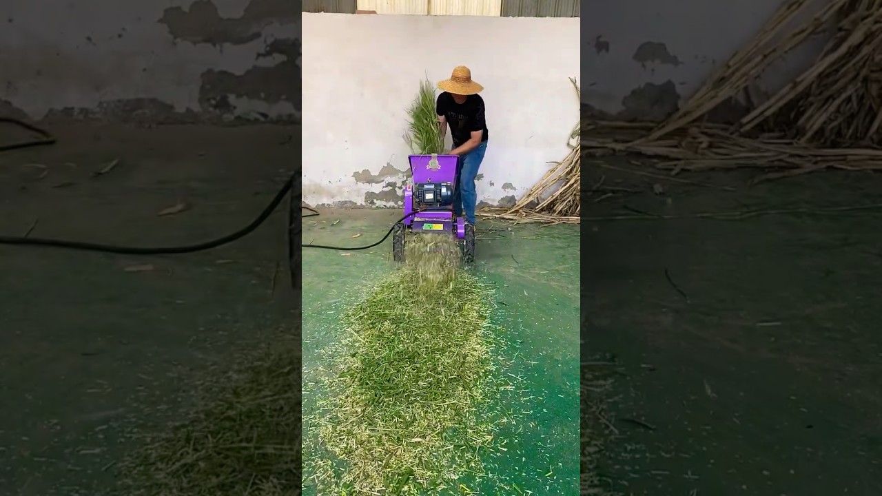 Heavy-Duty Chaff Cutter Machine &ndash; Cuts Like Butter! 🔪🌿 #chaffcuuter #chaff #cutter #agriculture