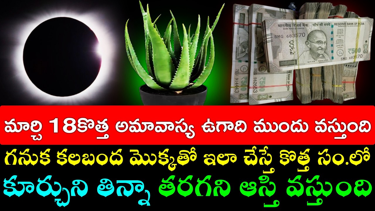 మార్చి 18కొత్త అమావాస్య ఉగాది ముందు వస్తుంది గనుక కలబంద మొక్కతో ఇలా చేస్తే కొత్త సం.లో కూర్చుని