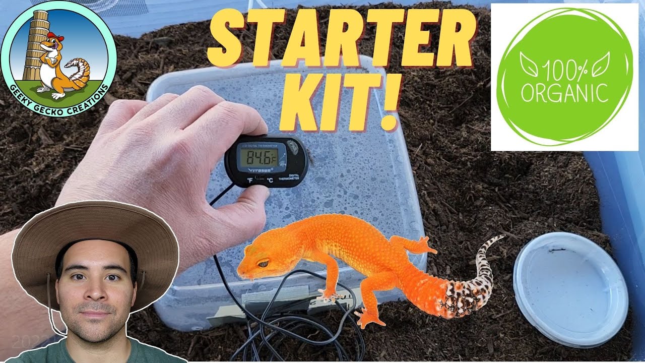 Leopard Gecko Starter Kits | $75