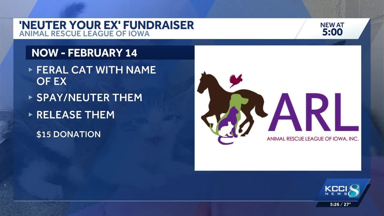Iowa animal rescue offers Valentine's Day fundraiser to neuter cats named after exes