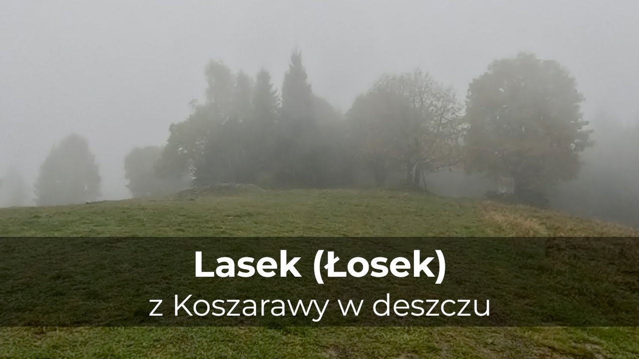 Lasek (Łosek) – 868 m, Beskid Żywiecki • 5 km z Koszarawy w deszczu