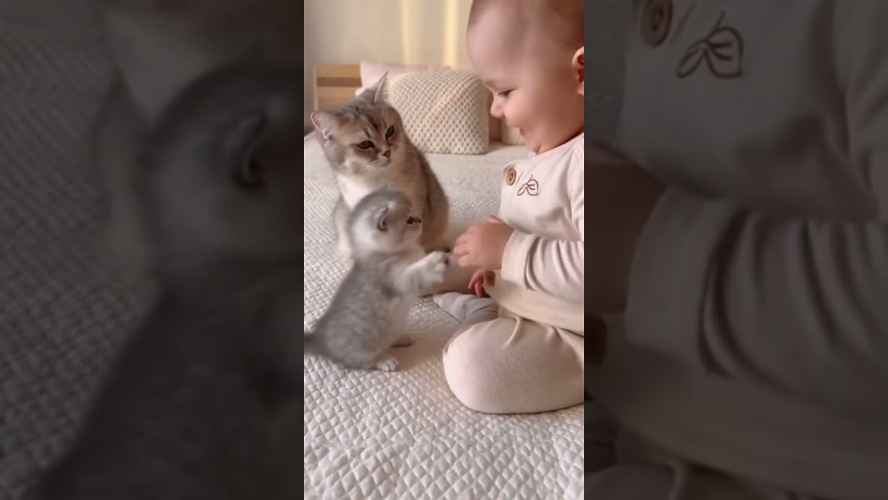 kediler ile bebeğin dostluğu #cat #baby #funny #cutebaby #shorts