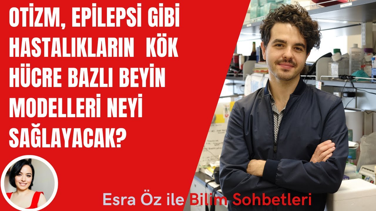 Otizm, epilepsi gibi hastalıkların  kök hücre bazlı beyin modelleri neyi sağlayacak?
