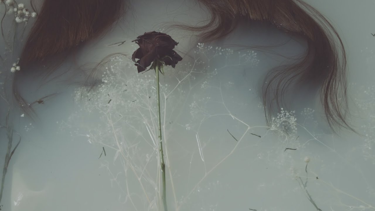 Chouchou - eternal gravity
