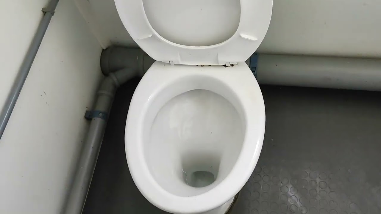 Disabled toilet at the Chalet Westof Haven public toilets St Leonards on sea