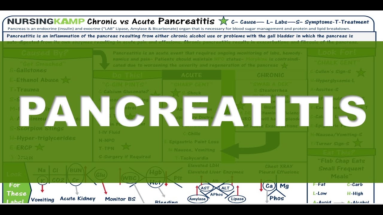 Pancreatitis Nursing KAMP Lecture Renal Endocrine Liver Diagram AST ALT Amylase Lipase