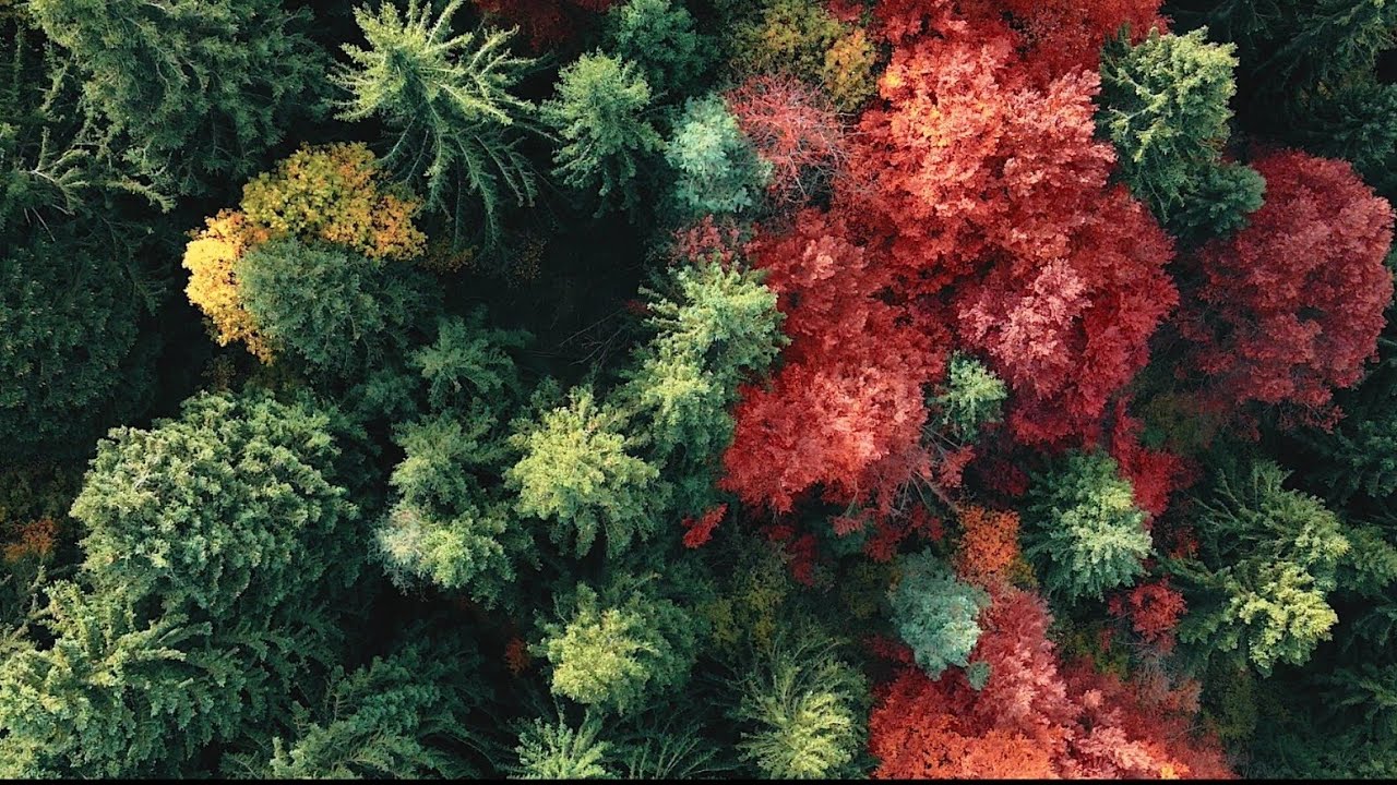 Escape [Mavic Air 2 Cinematic Footage]