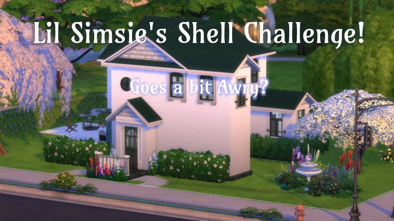 Let's try Lil' Simsies Shell challenge