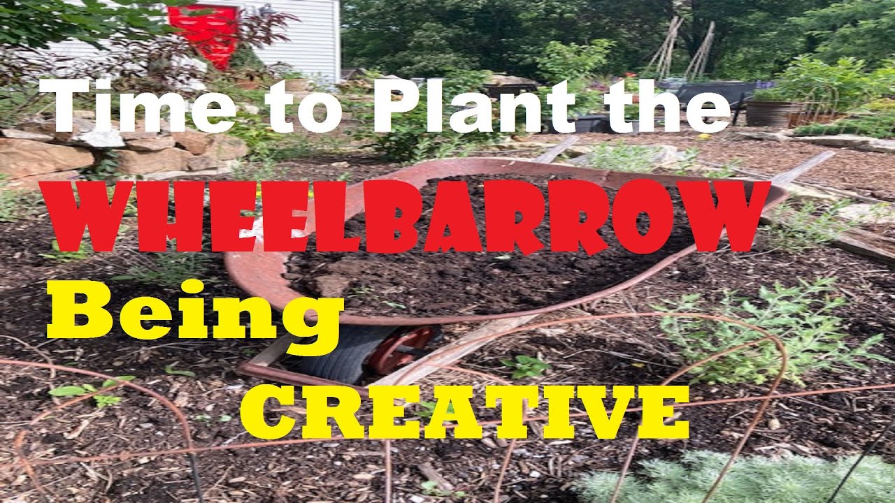 DIY - How to Plant the Wheelbarrow // from Campbell’s Freedom Farm