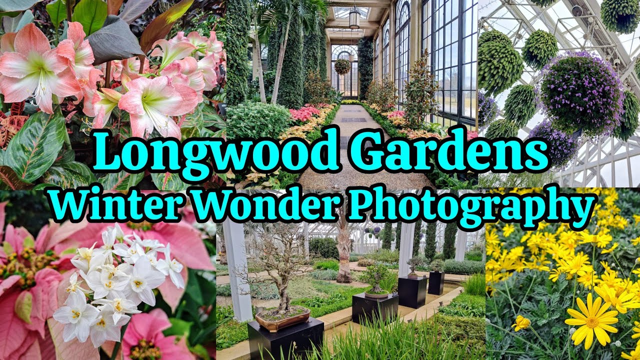 Longwood Gardens Winter Wonder 2026 photography