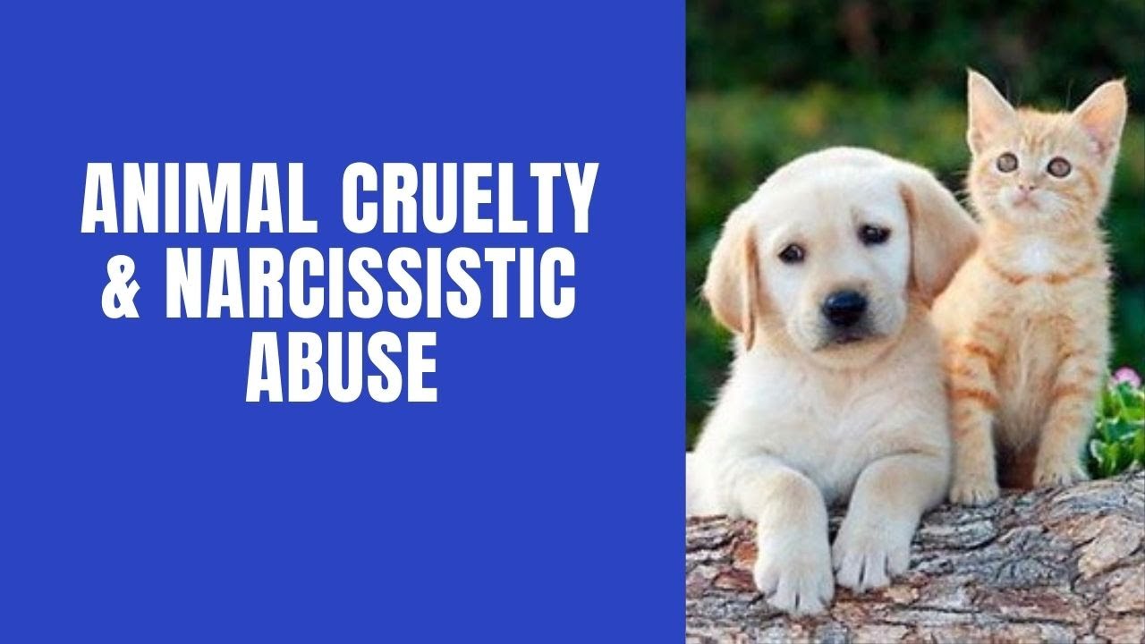 Animal Cruelty & Narcissistic Abuse #EndPetAbuse