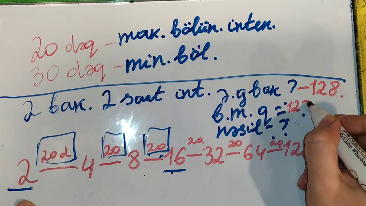 Bakteriyaların çoxalması.Biologiya 6-7 sinif