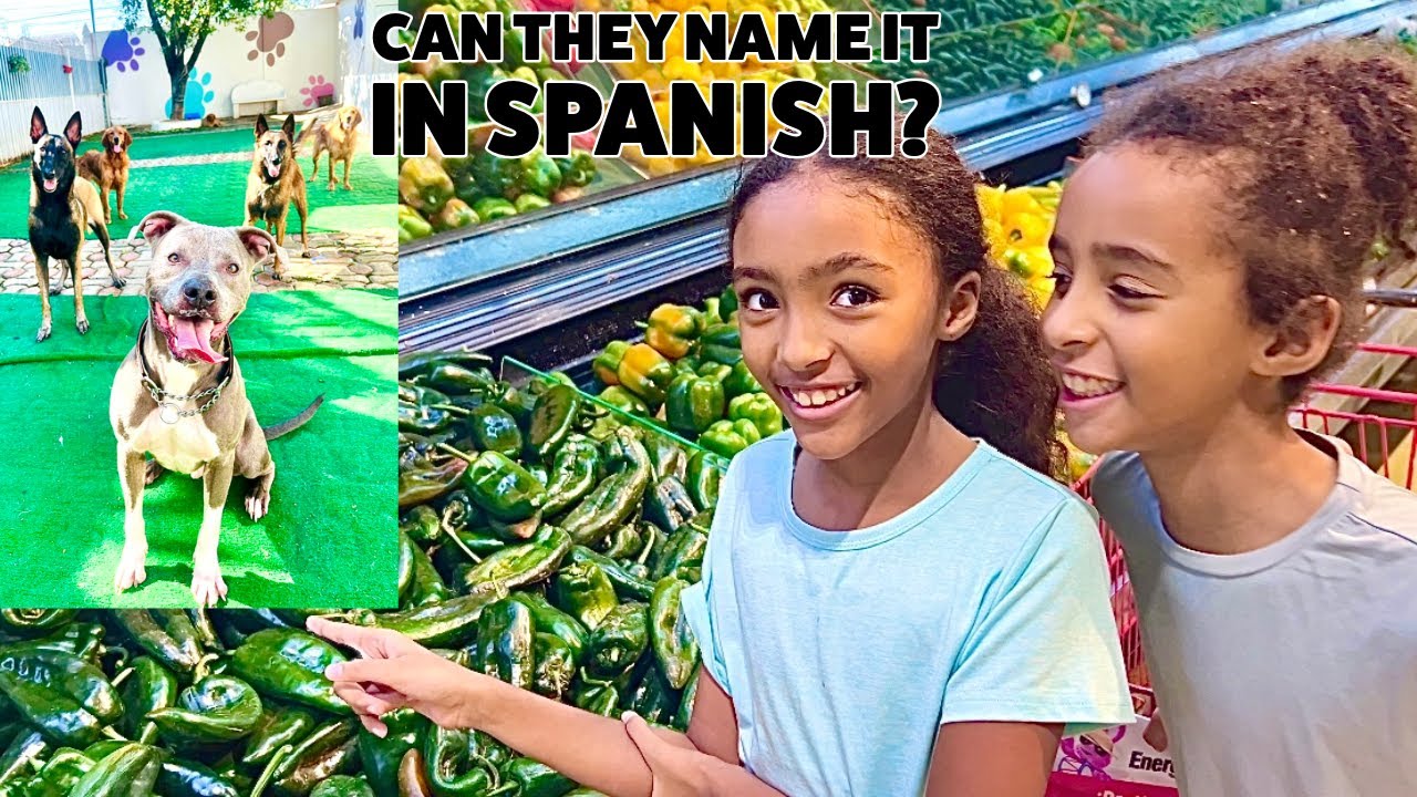 Grocery Store Spanish Challenge! Testing My Twins' Language Skills