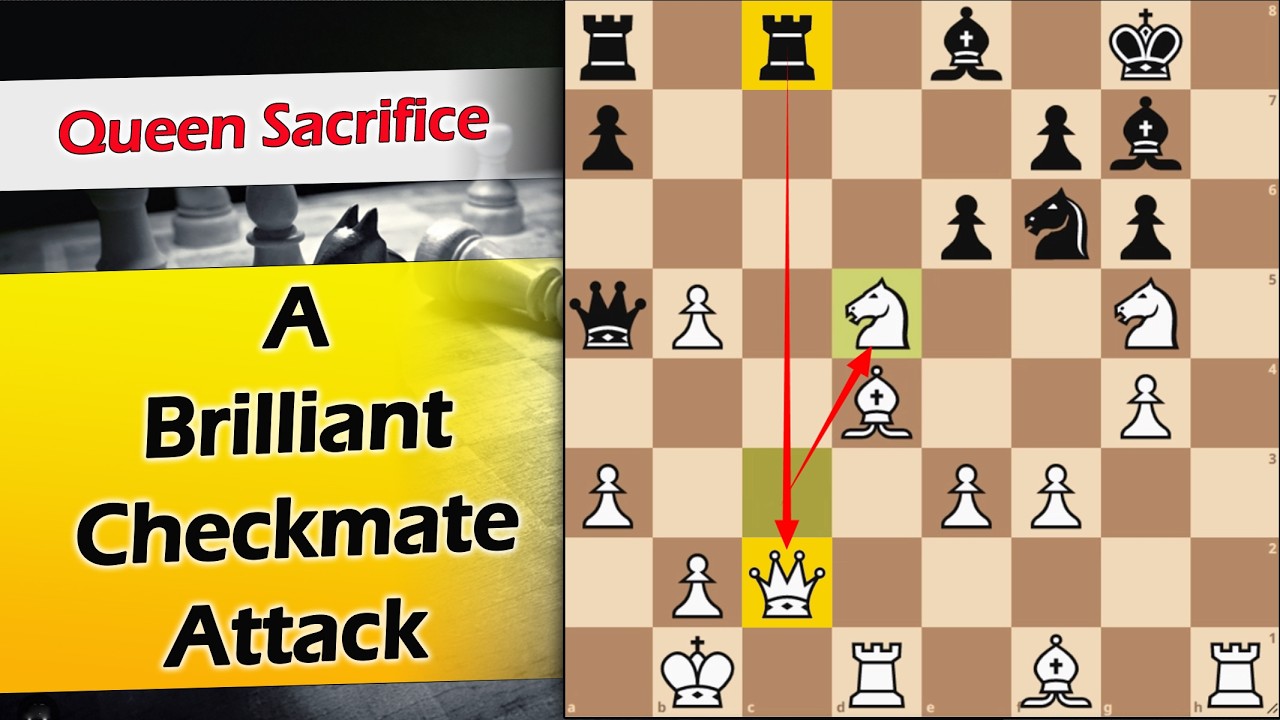 A Brilliant Checkmate Attack | Vera vs Garcia 1992