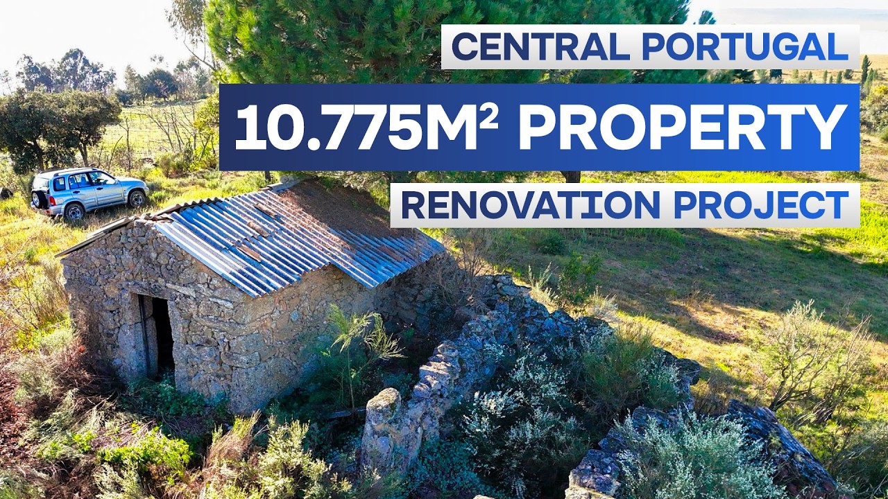 42.500&euro; | Farm for Sale Portugal 🇵🇹 | Stone House, Wells & Land | 42.500&euro;