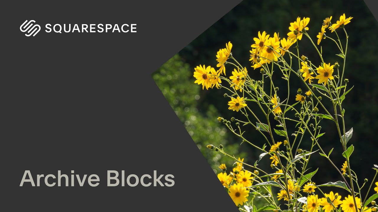 Archive Blocks | Squarespace 7.1