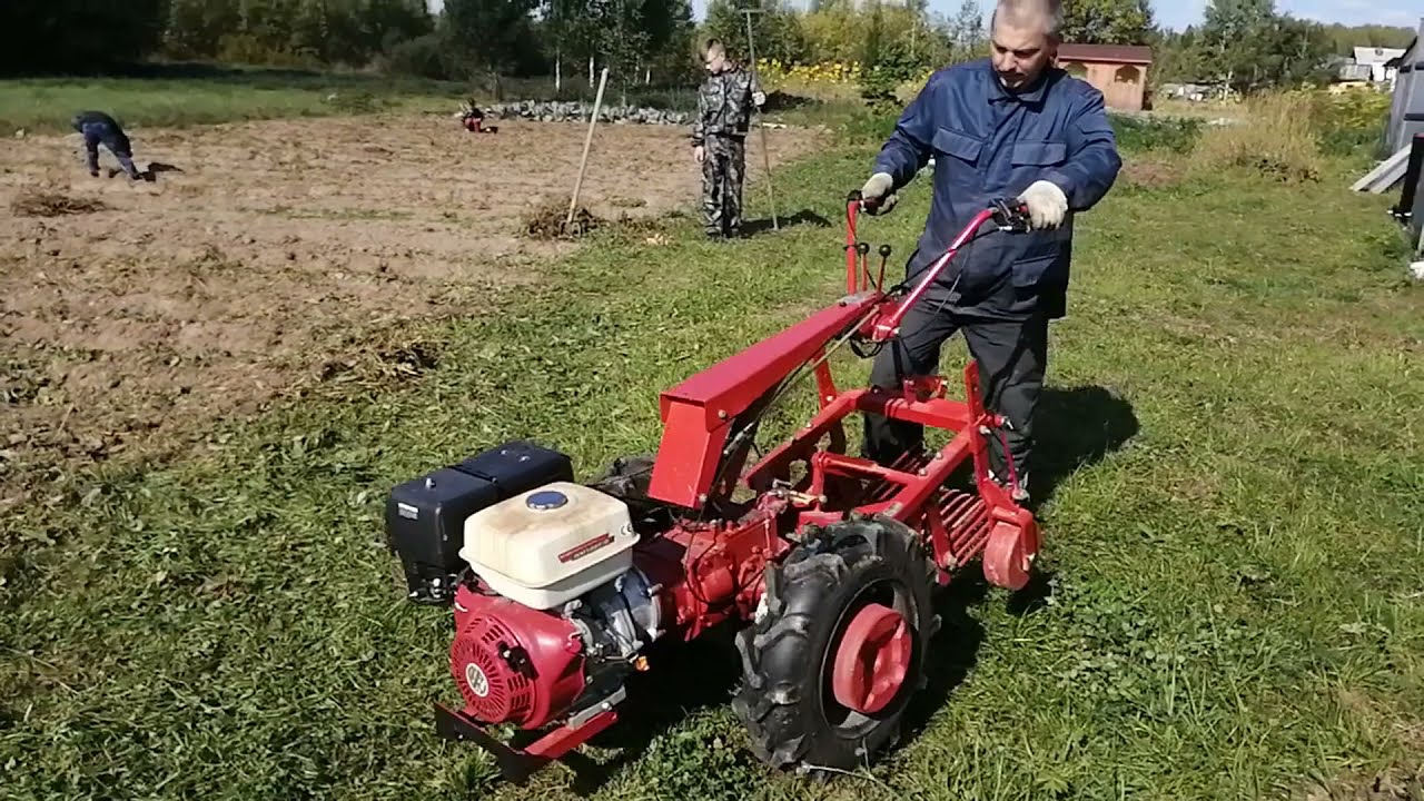Добываем картошку картофелекопалкой КФТ-2 + мотоблок МТЗ.