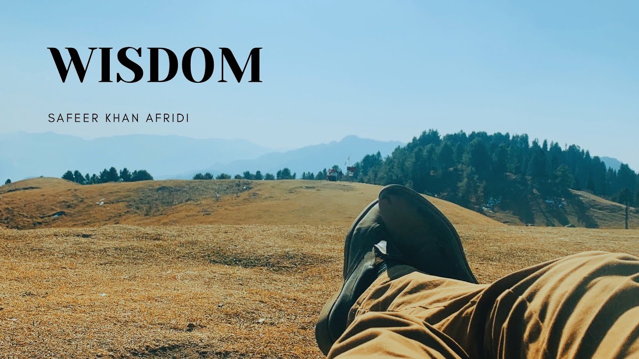 Wisdom by Safeer Khan