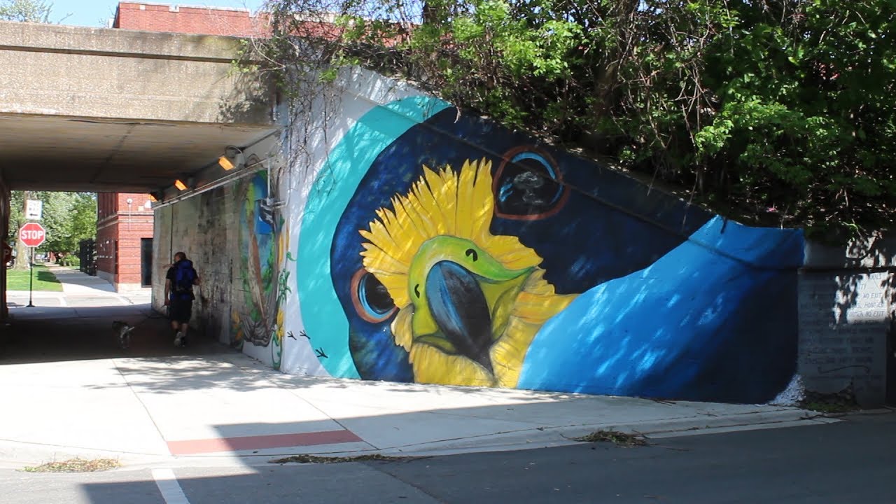 Around Rogers Park: a Chicago neighborhood