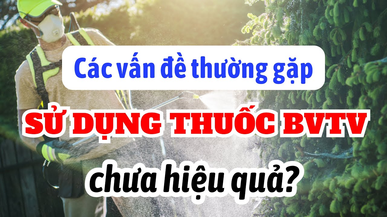 Các vấn đề thường gặp khi sử dụng thuốc BVTV dẫn đến hiệu quả chưa cao? | Ôn tập sử dụng thuốc BVTV