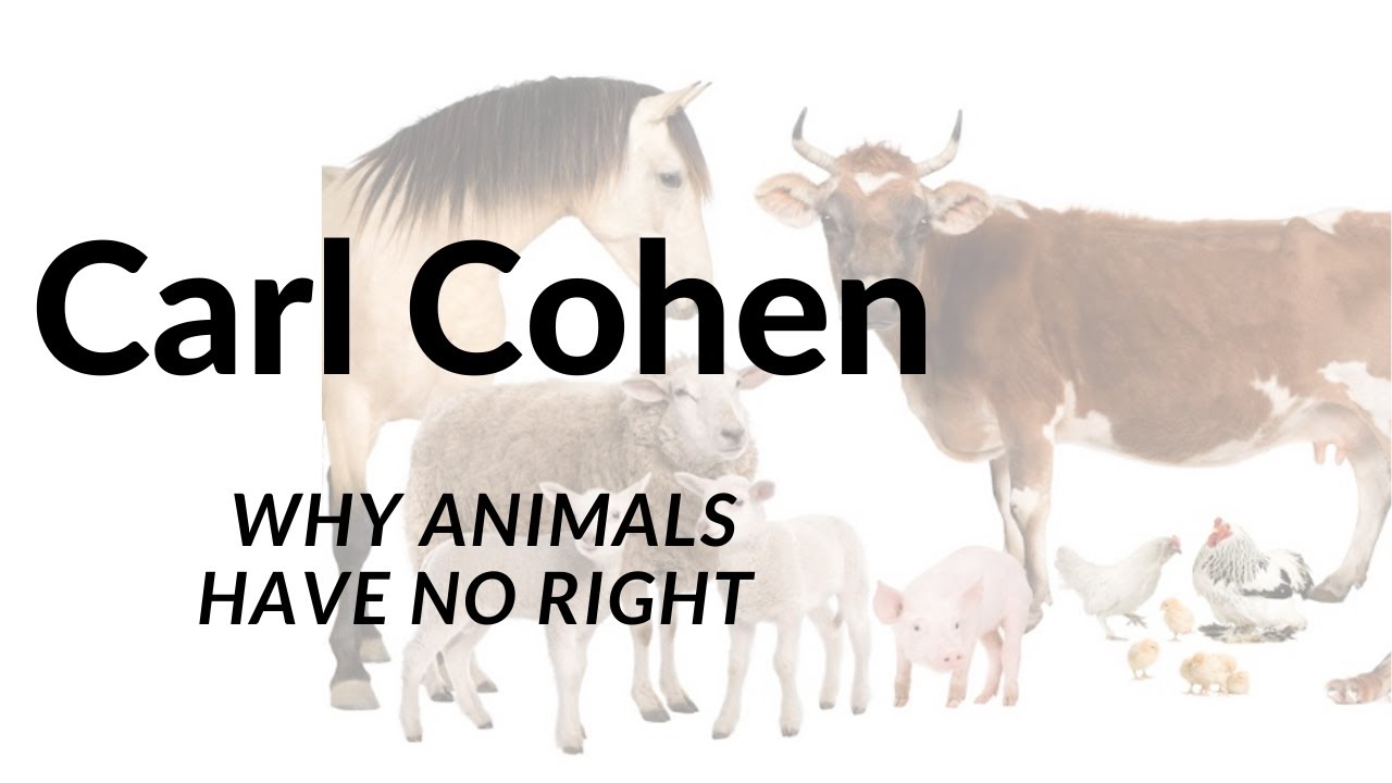 Carl Cohen  Why Animals Have No Right