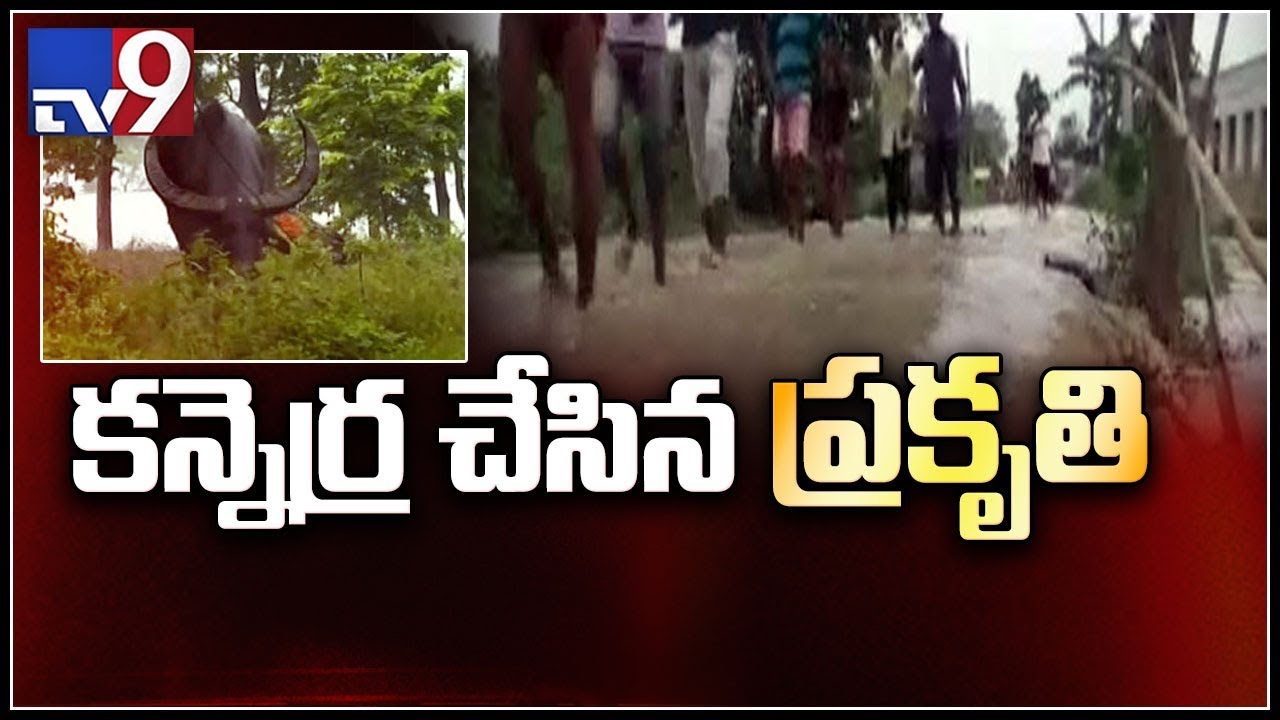 Heavy rain and floods in Assam - TV9