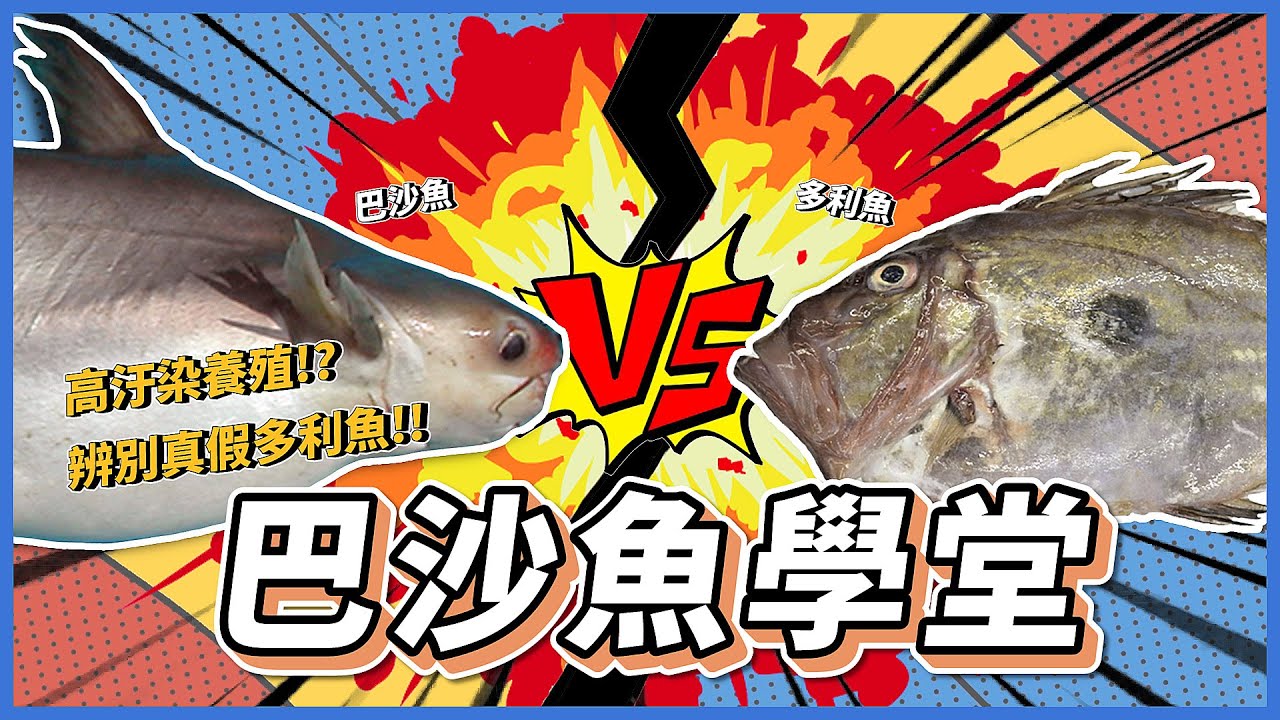 巴沙魚?多利魚?傻傻分不清~這魚到底能不能吃?為什麼餐飲業這麼愛用的秘密.......《魚大俠學堂EP11》