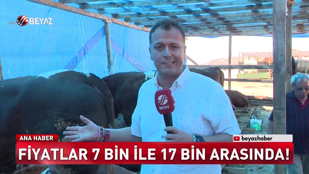 BAYRAMA 4 GÜN KALA KURBANLIK FİYATLARI...