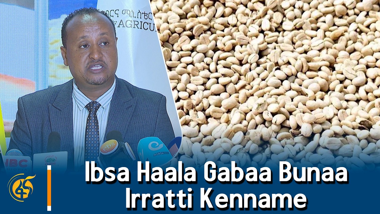 Ibsa Haala Gabaa Bunaa Irratti Kenname
