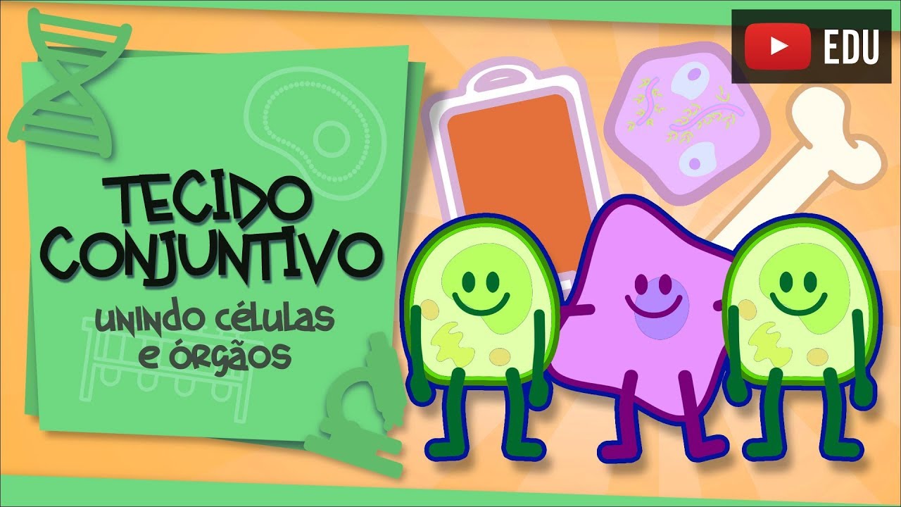 Tecido Conjuntivo - dando forma e estrutura