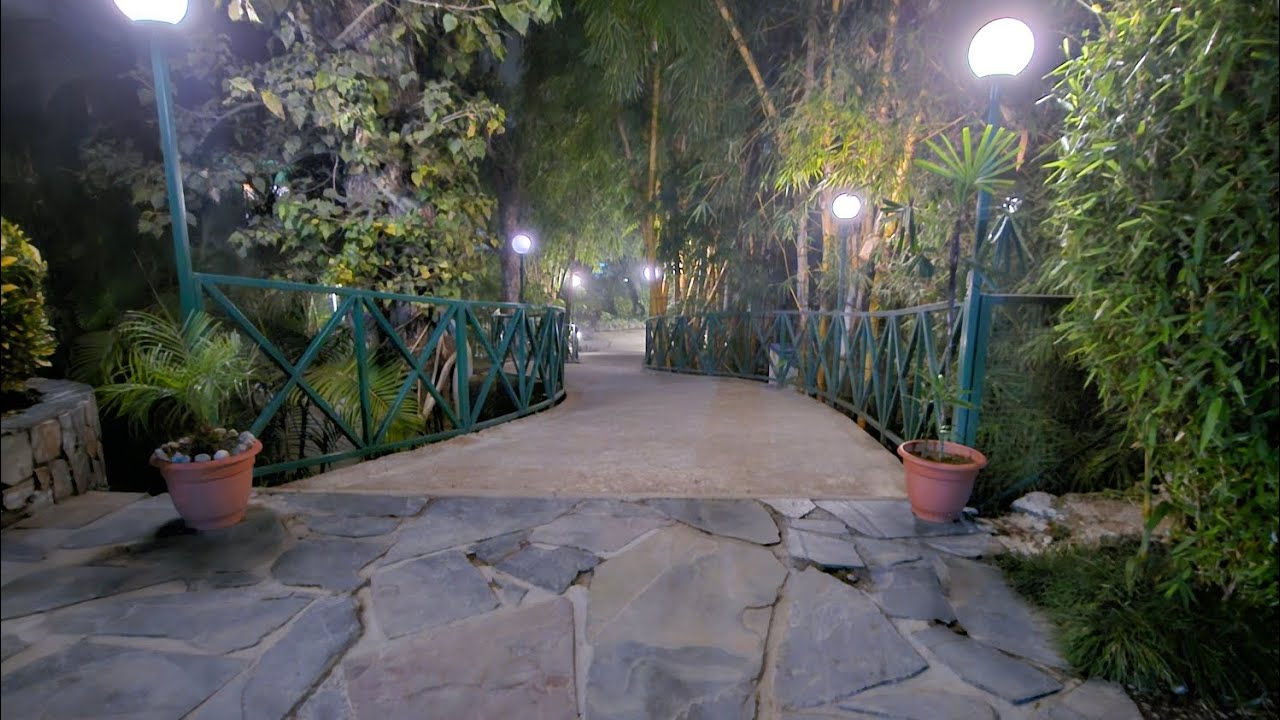 Beautiful resort | Corbett Suman Grand | Jim Corbett #uttarakhand #beautiful #jimcorbett