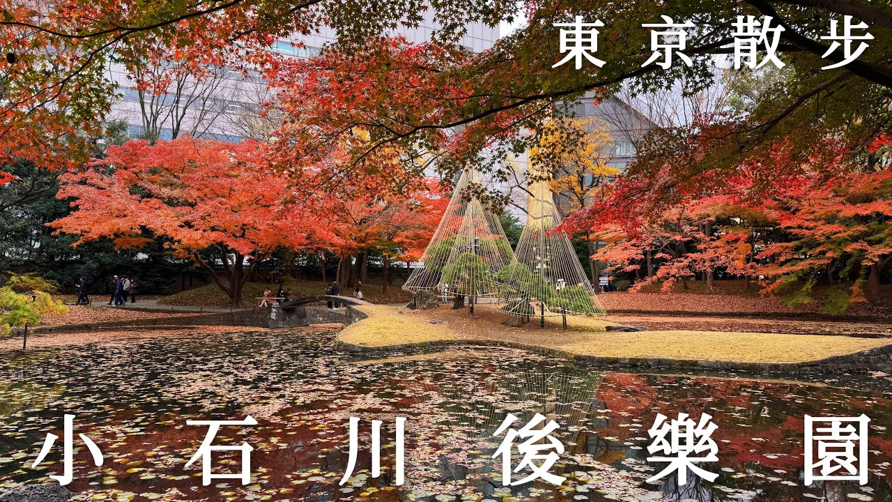 東京初冬｜小石川後樂園紅葉見頃、排隊法式龍蝦拉麵的姐妹店、最愛的水果塔、巨蛋城的聖誕氣息｜日本旅遊、Satori日本生活