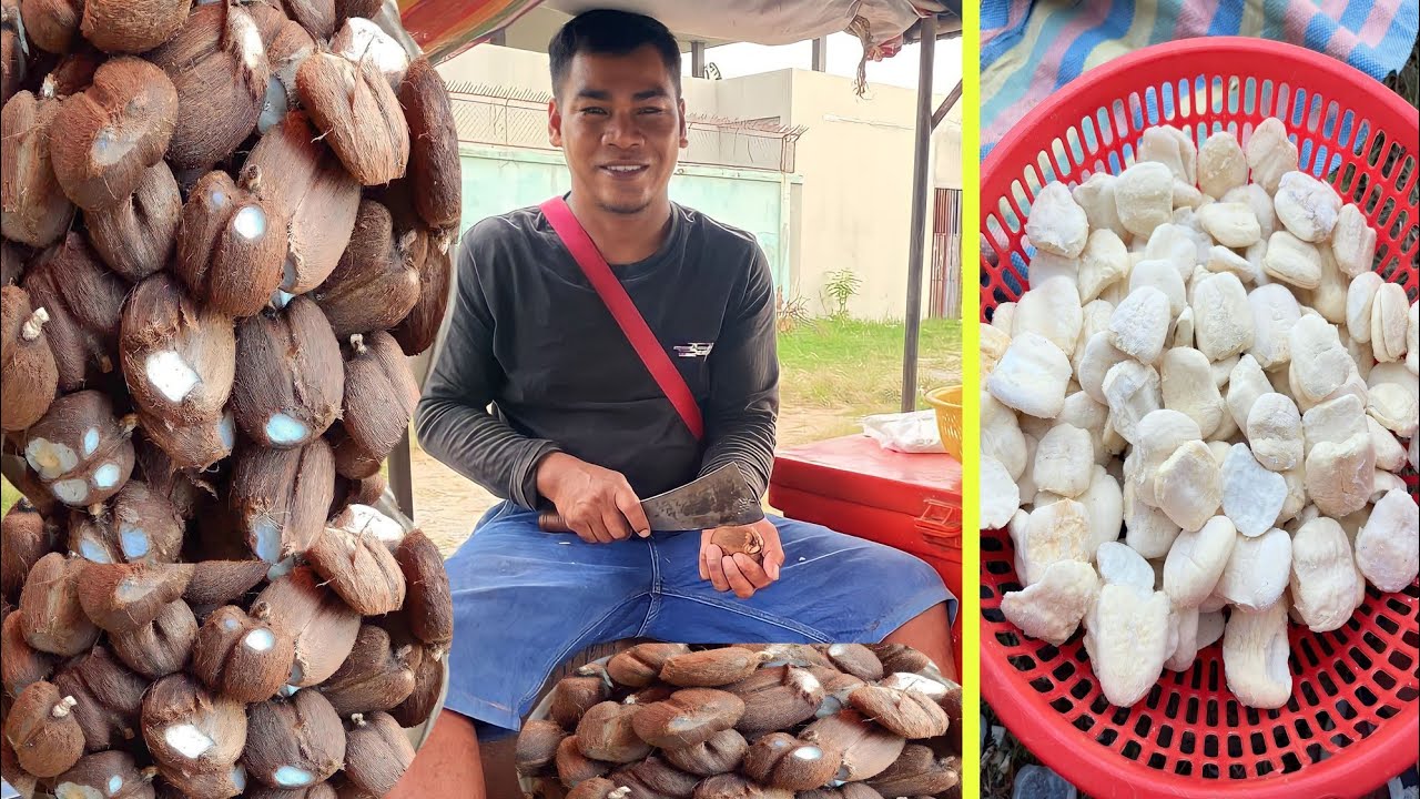 fruit cutting street food, Amazing Palmyra Palm Fruit Cutting Skills, fruit cutting skills