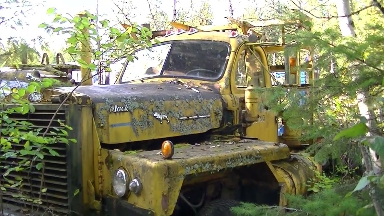 Trucks Growing in the Trees