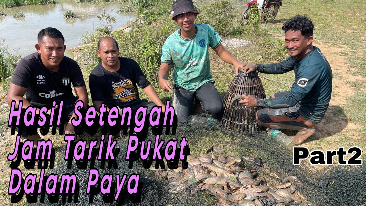 (PART2) Teruja pertama kali tengok aktiviti 'pukat tarik' dalam paya