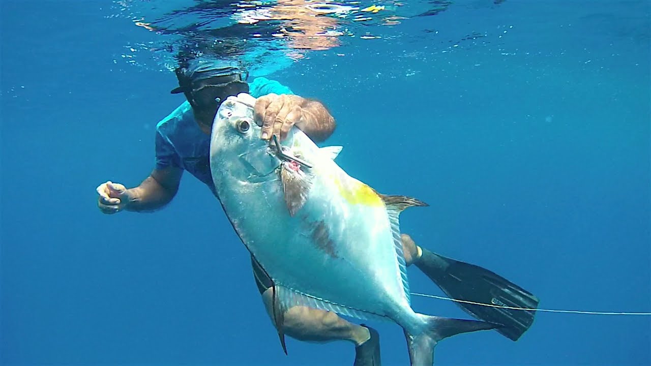 CUBA SPEARFISHING BLUE TROPIC (new version HD) VALORAMAFILMS®