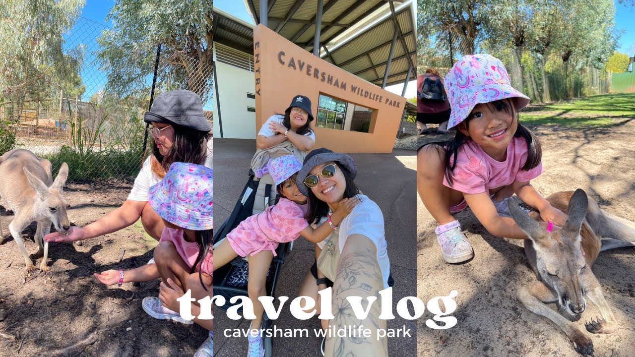 TRAVEL IN PERTH | caversham wildlife park 🐨🦘❤️