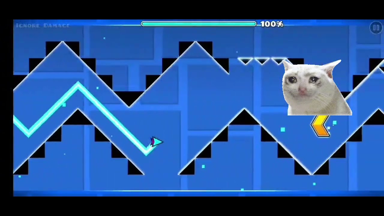 Kitty thought it was immposible
