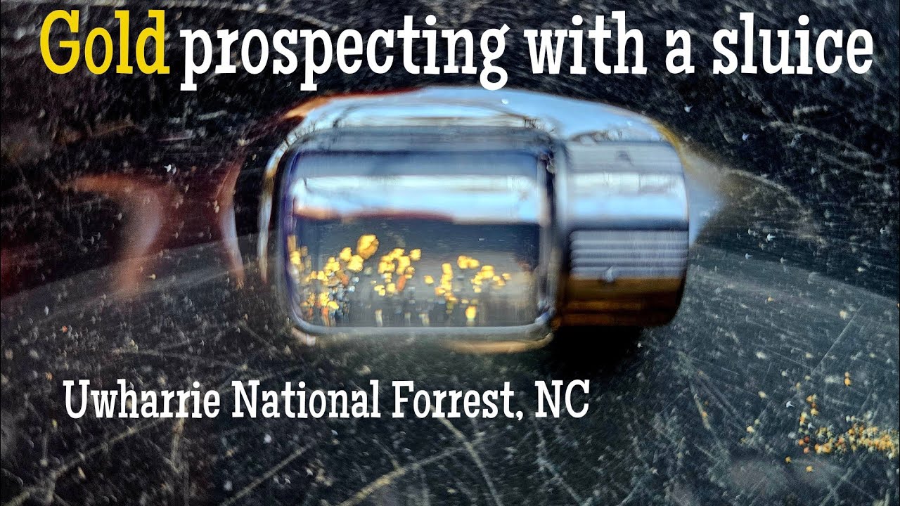 Gold prospecting with a sluice. Uwharrie National Forrest, NC