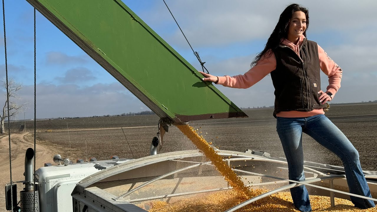 Trucking Corn With Laura