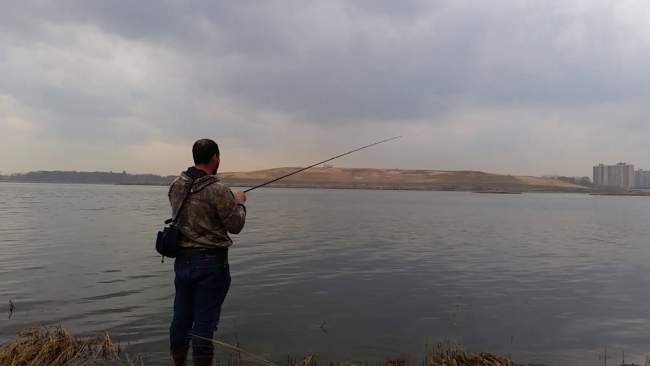 Shimano  citica 200HG