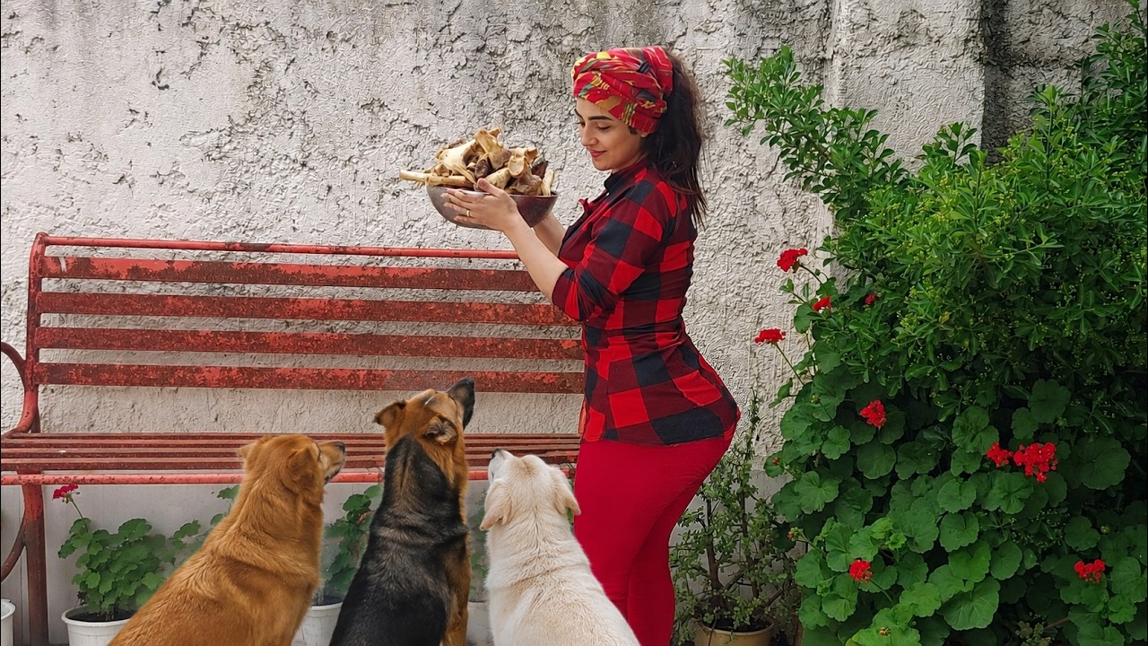 Iranian Village Life, Traditional Chicken Recipe with Walnut | Persian Cooking & Rural Daily Routine
