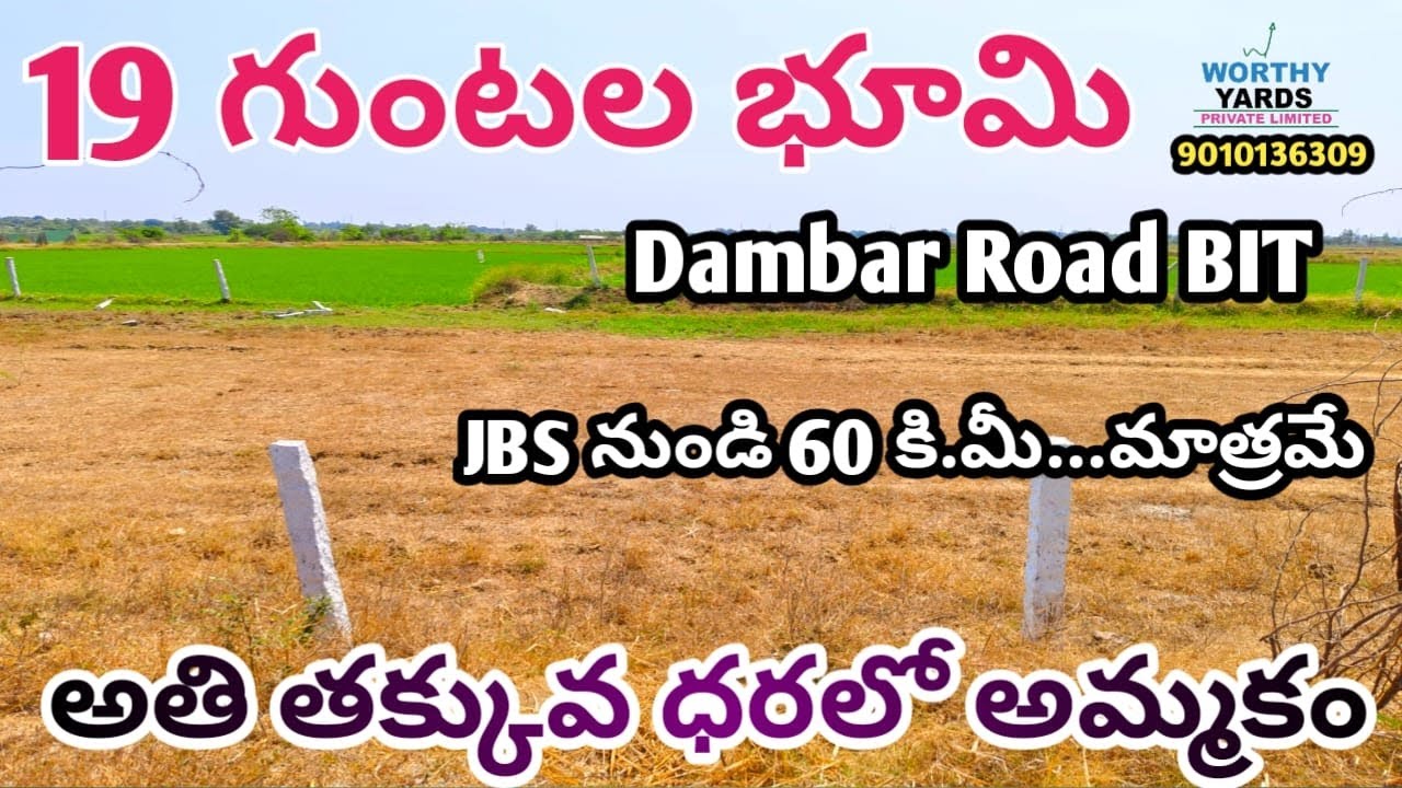 19 Guntas Agriculture Land For Sale | Dambar Road BIT |#agriculturelands #agriculture #farmlands