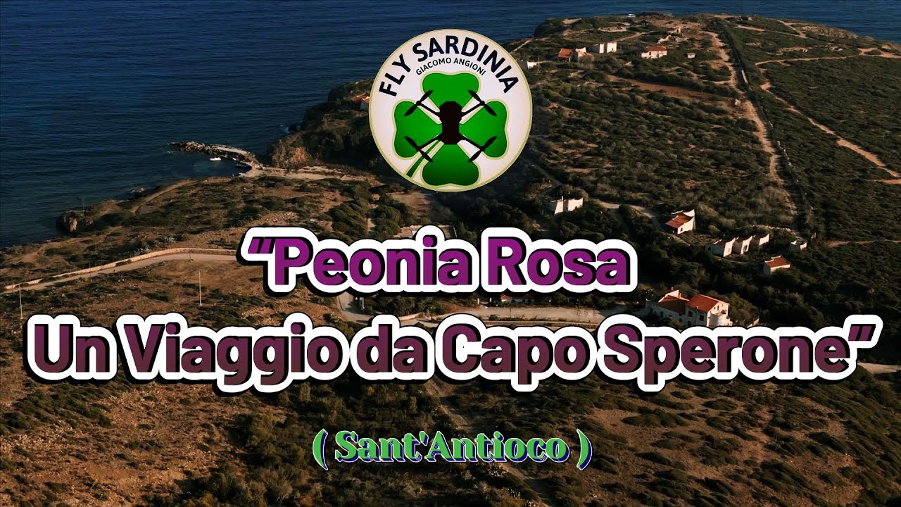&ldquo;Peonia Rosa  Un Viaggio da Capo Sperone&rdquo;