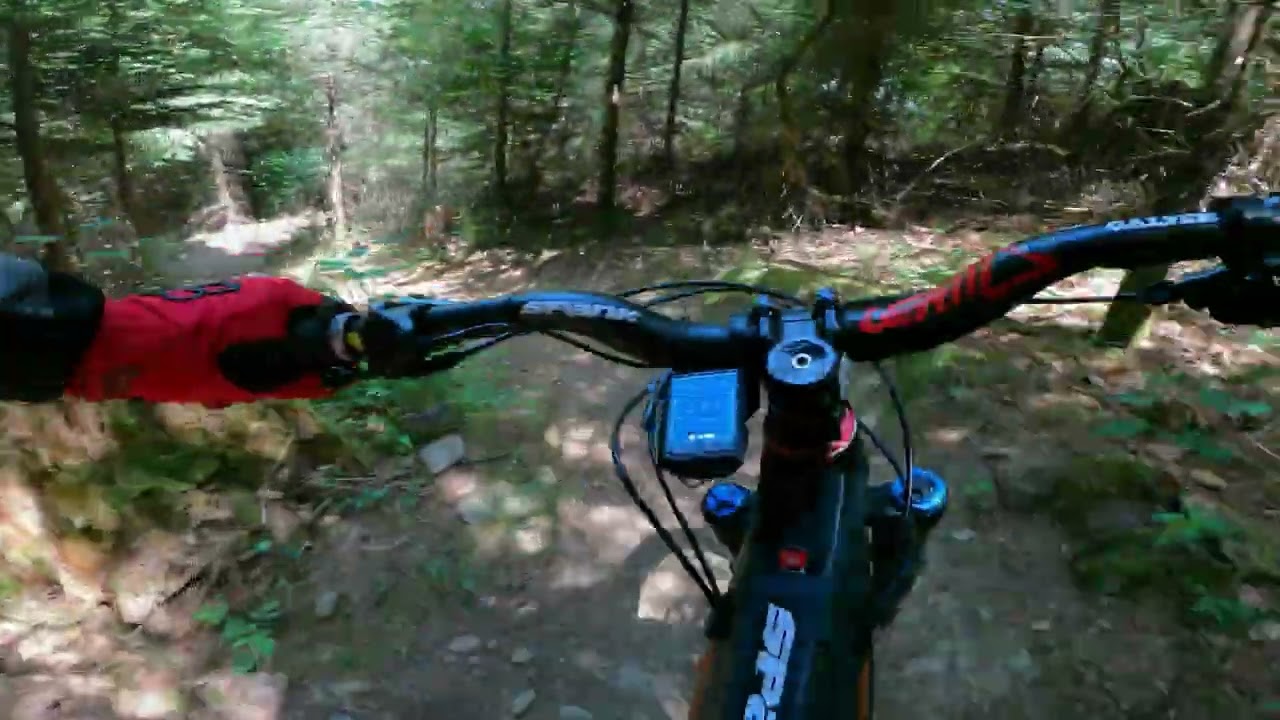 Woody-Trail  Waldkirch Ü - 65 MTB