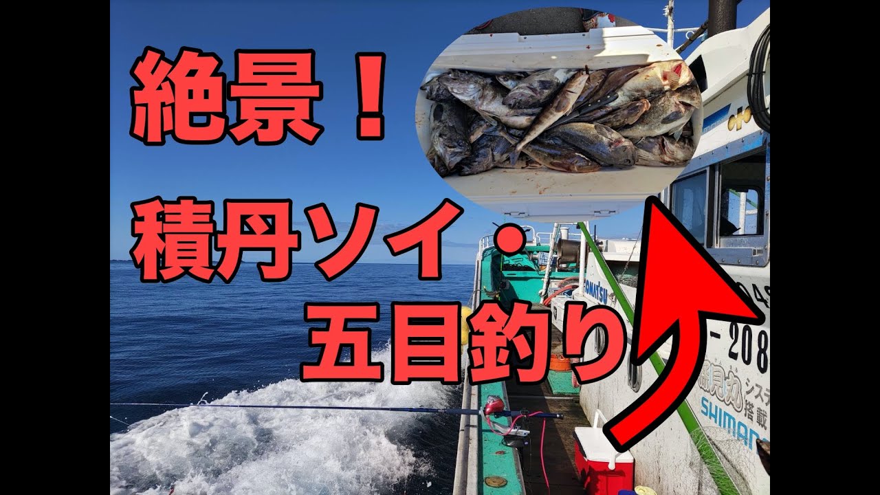 【今年初！】北海道積丹船釣りソイ、五目釣り