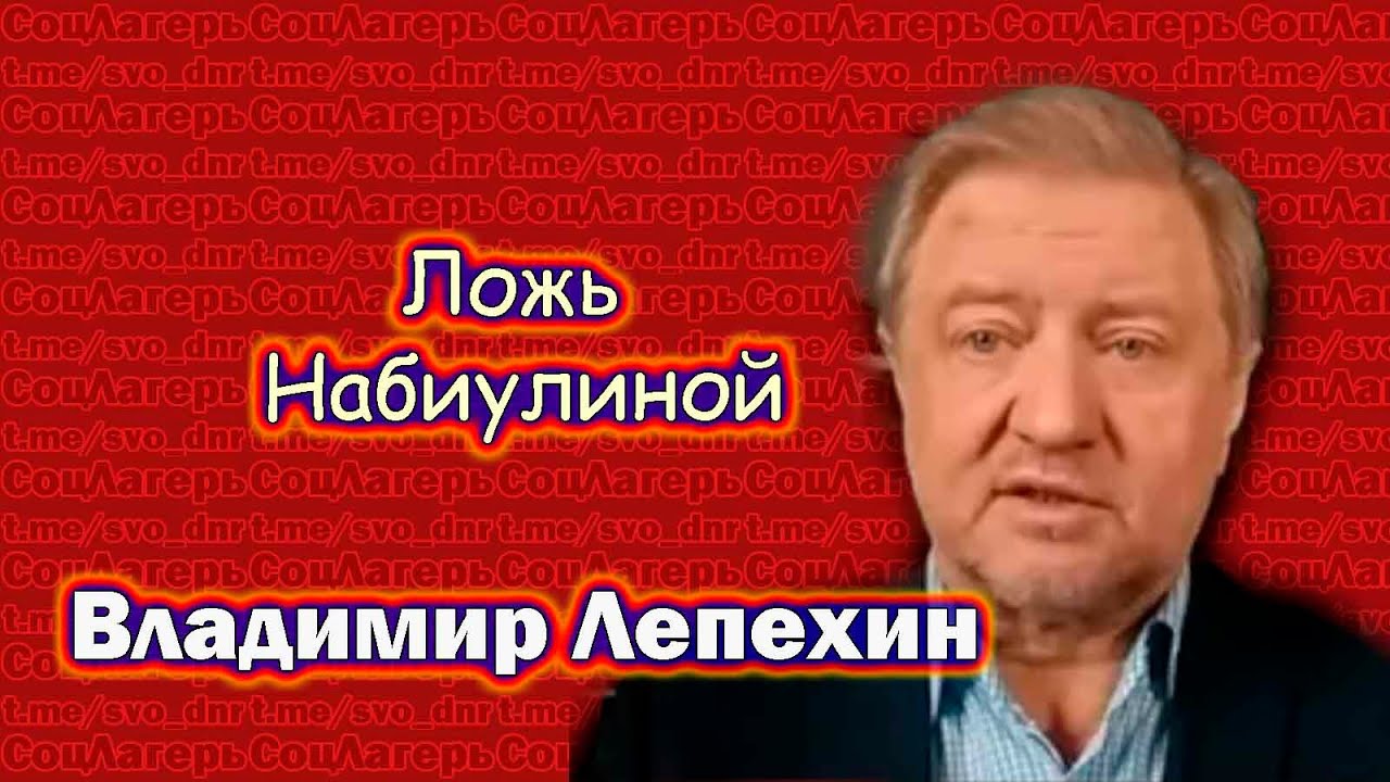 Нибиулина выполняет работу в интересах правящей верхушки  - Владимир Лепехин