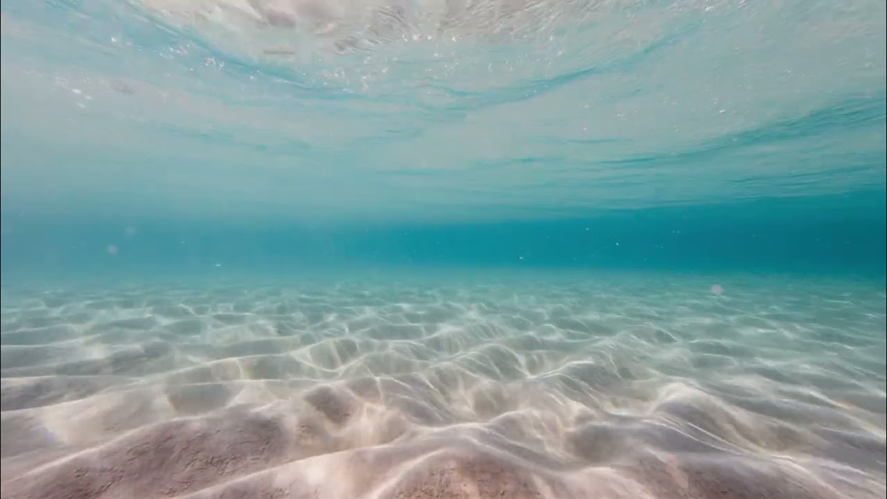 Deep Underwater Sounds 🐳 | Relaxing Ocean White Noise 10 Hours